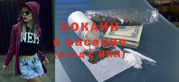 крисы Козельск