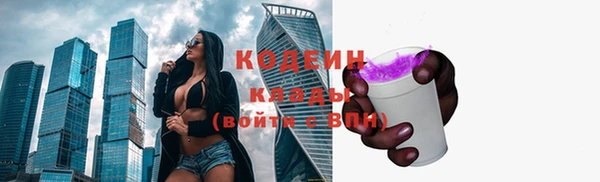 крисы Козельск