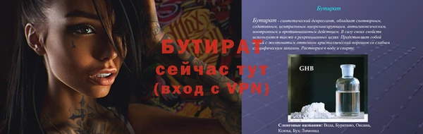 крисы Козельск