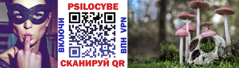 Купить  Черкесск  Галлюциногенные грибы Psilocybe 